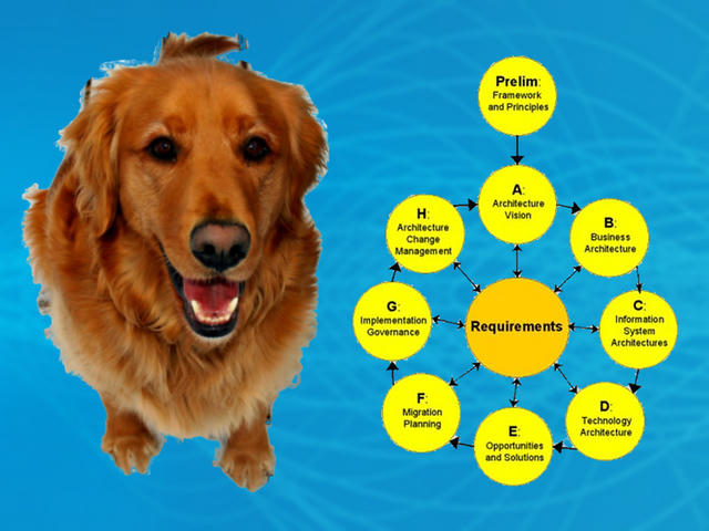 A dog. And the TOGAF ADM cycle.