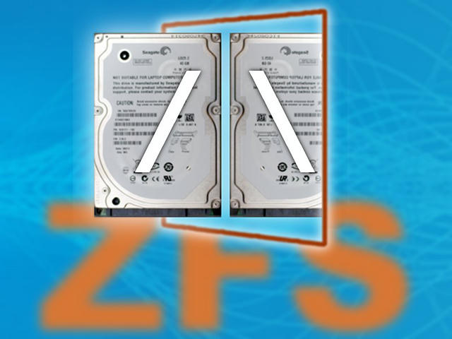 Two identical Seagate hard drives sit side by side, each marked with a large forward-slash symbol, above an orange “ZFS” logo on a blue background.